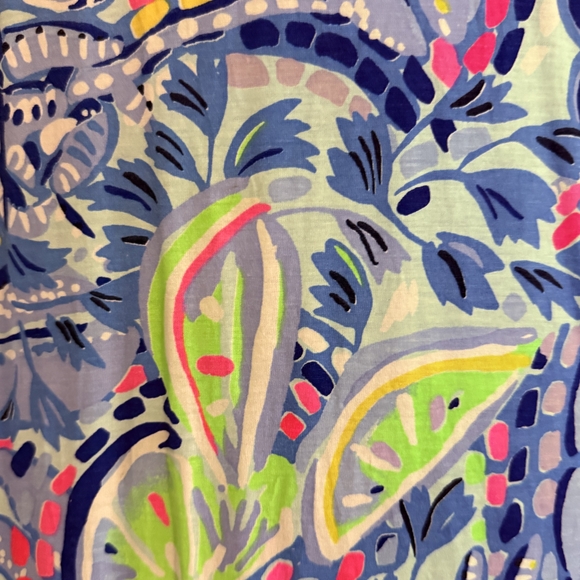 Lilly Pulitzer Blue and Pink Mini Dress - Picture 2 of 3